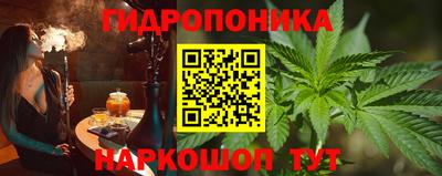 шишки Ноябрьск